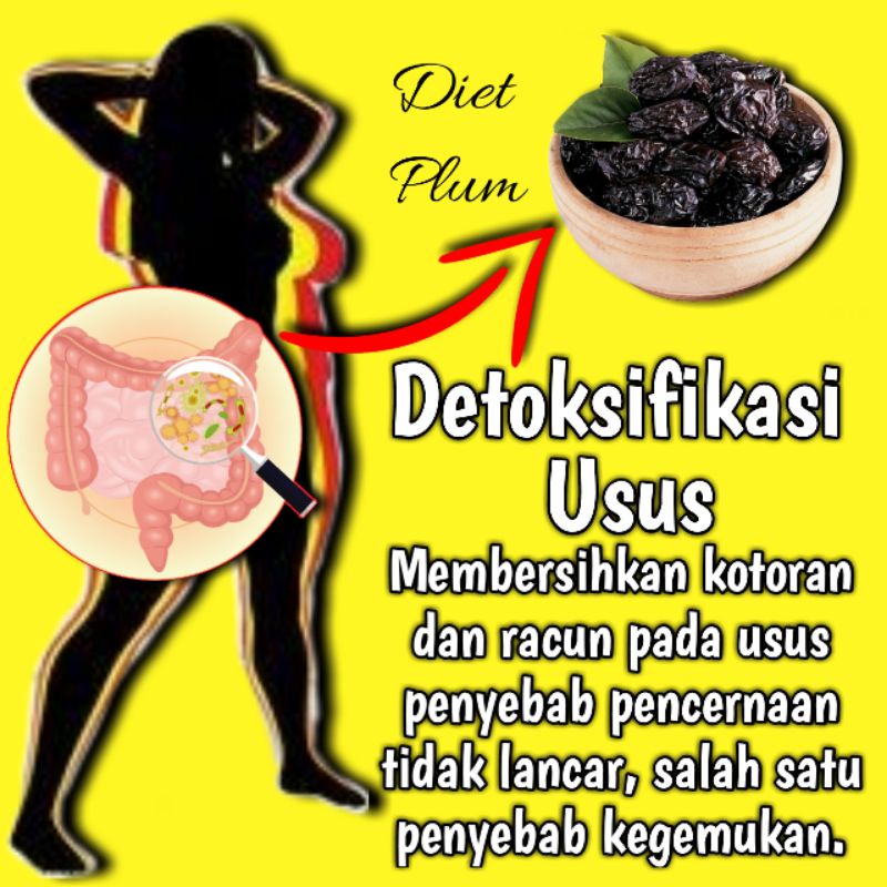 KURUS KILAT Paket TURUN 5-15KG Pelangsing Obat Diet Herbal Ampuh Penurun Berat Badan No Herballife