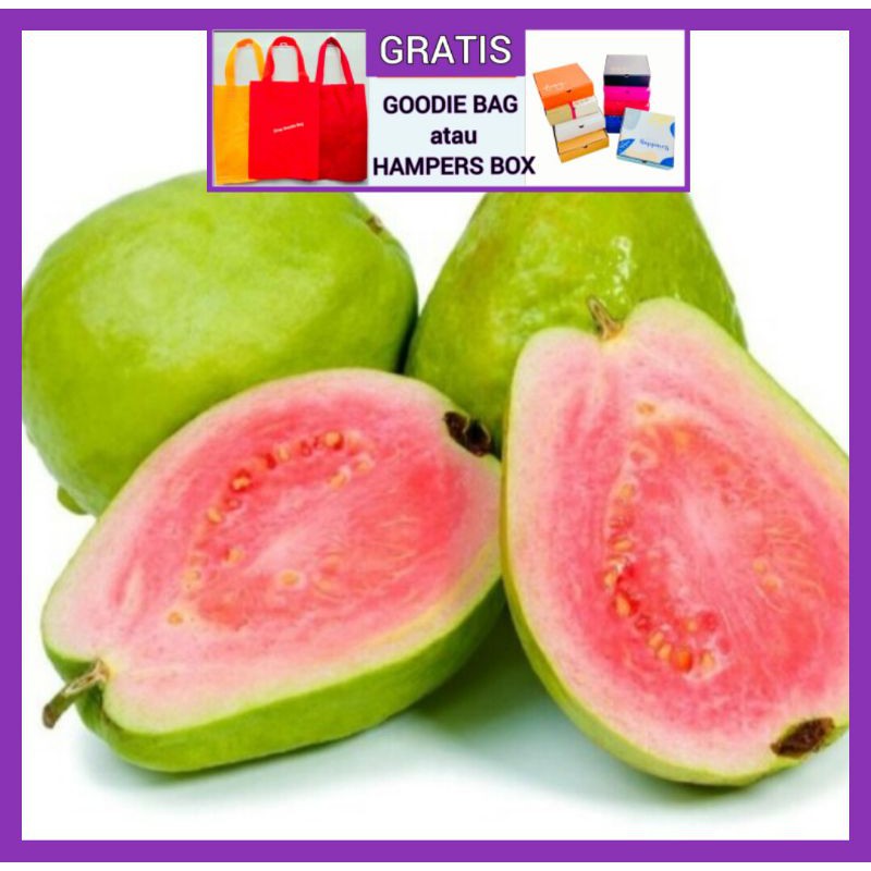 

JAMBU BIJI MERAH RED GUVANO Buah Jambu Biji Merah IBAZA fruitsBOX
