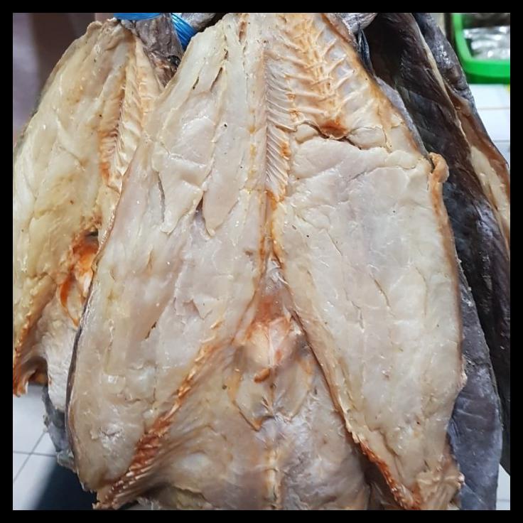 

DISKON TERBATAS !!! JAMBAL ROTI EKOR SUPER (TERLARIS) TERLARIS
