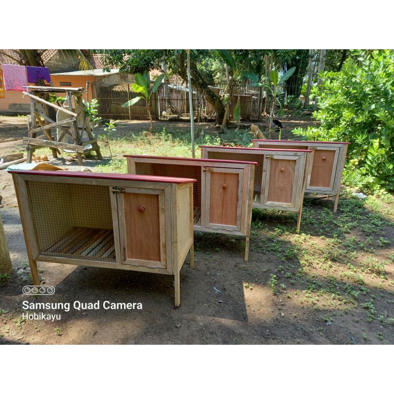 kandang kelinci kayu murah