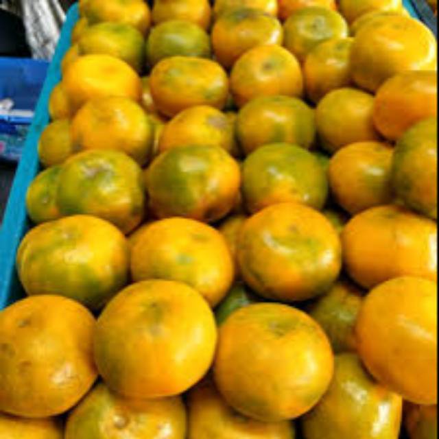 

JERUK MEDAN