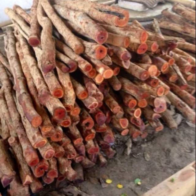 

Kayu secang batanagan belum dikupas per kilogram