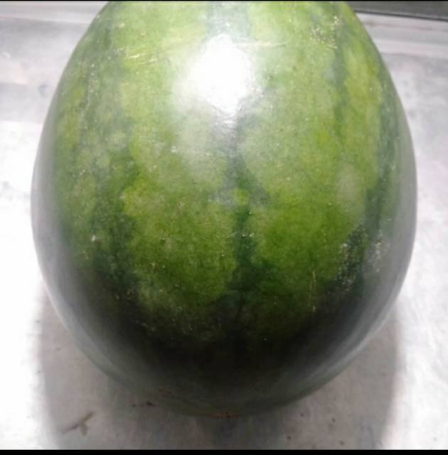 

Semangka merah non biji 3 kg up