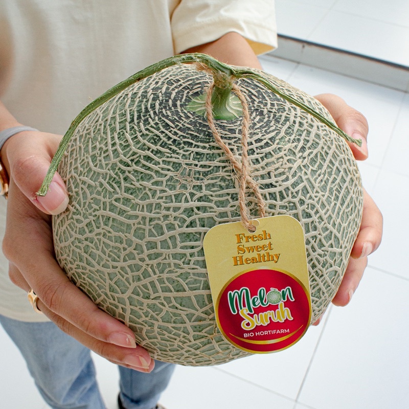 Melon Suruh "AMANDA”