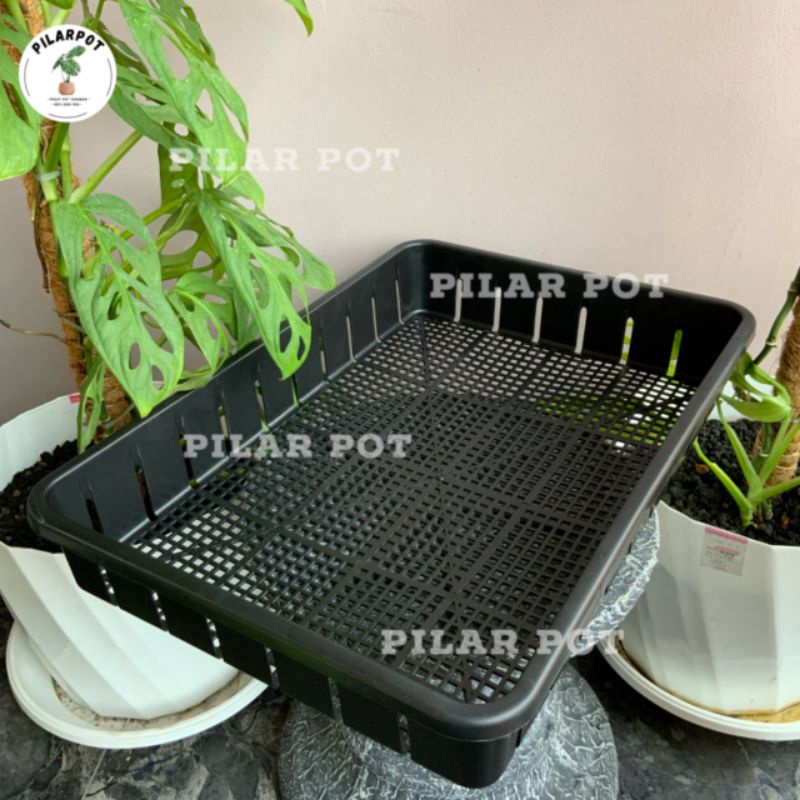 Tray pot untuk semai bibit hidroponik 50cm - TRAY POT NKT 50CM