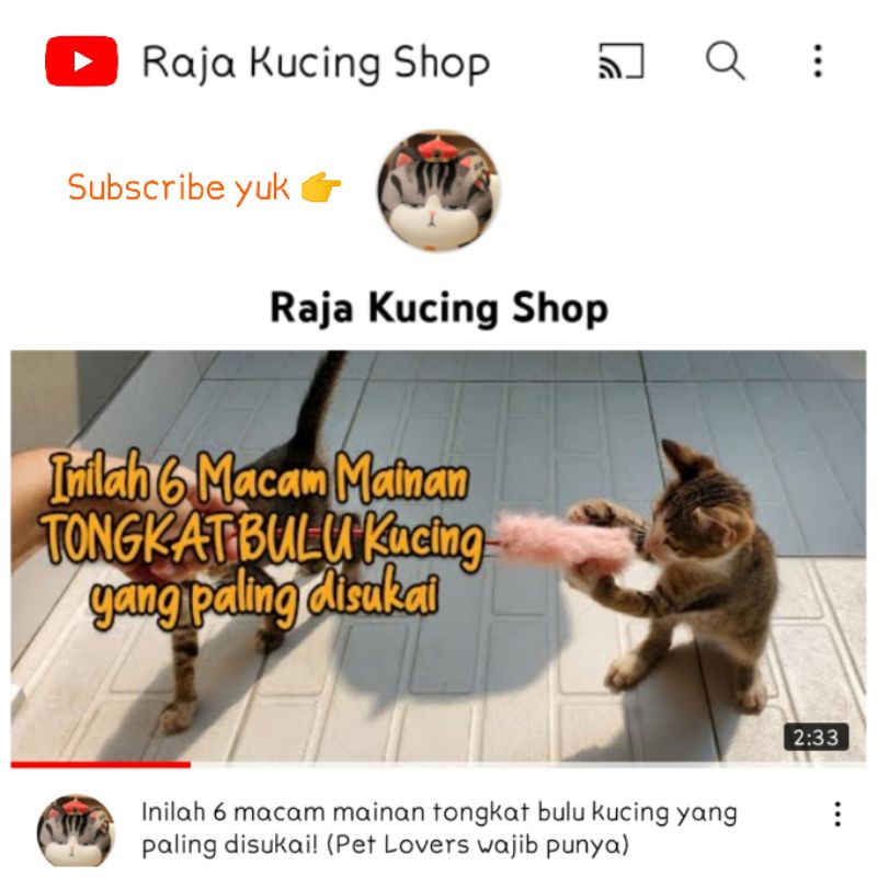 Mainan kucing tongkat bola bulu 55cm