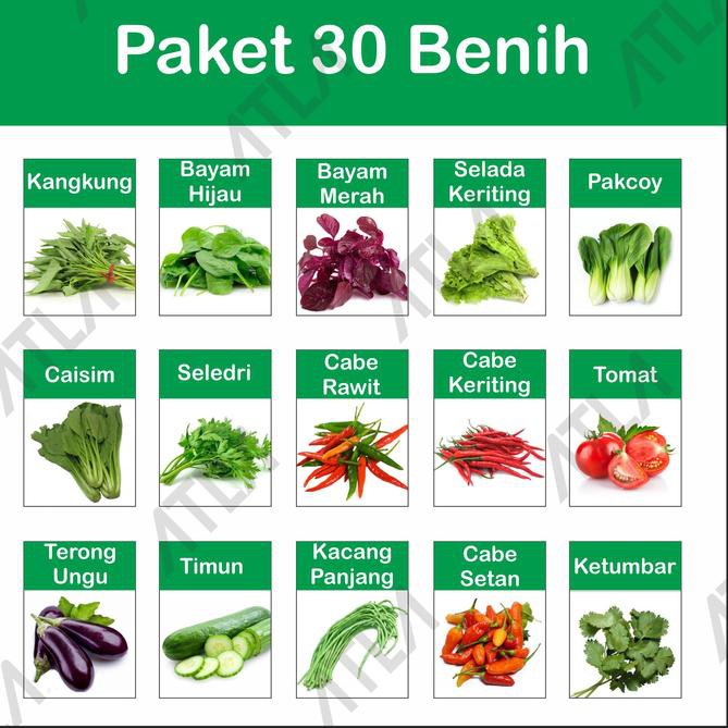 

Lagi MURAH!!Paket 30 Benih Kebun Hidroponik Biji Bibit Jenis Sayur Sayuran Lengkap ,