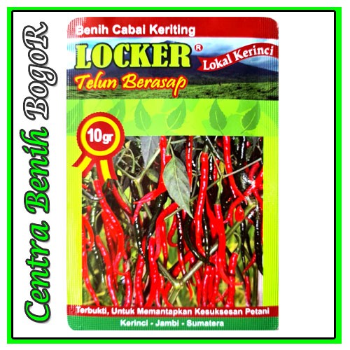 BENIH BIBIT UNGGUL CABE MERAH CABAI MERAH CABE KERITING LOCKER ISI 10GR