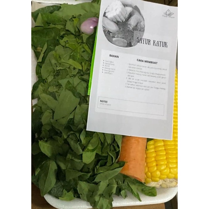 

SAYUR KATUK PACK