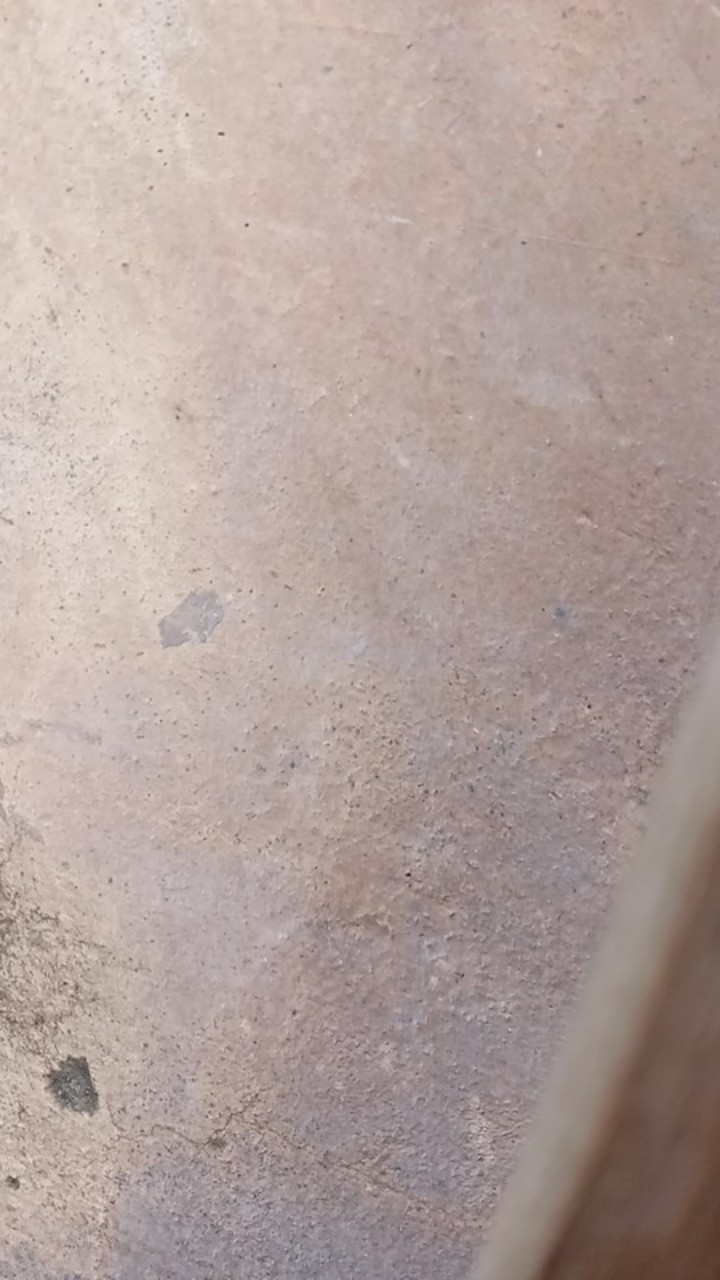 Vijay #2 Kemeja Batik Lengan Pendek Bahan Katun Cabut Sragenan Kualitas Hq Full Furing