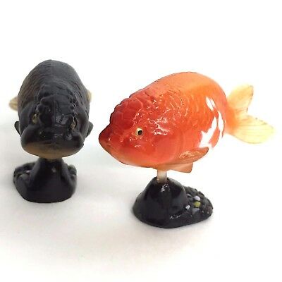 choco egg furuta kaiyodo ranchu goldfish miniature japan