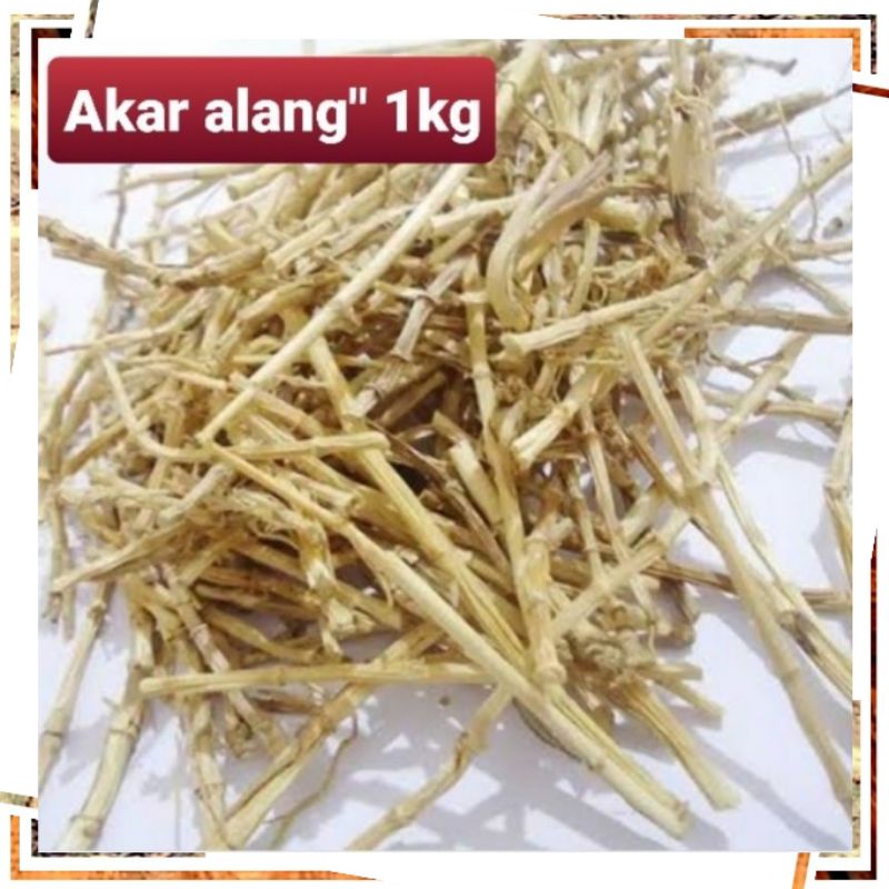 Akar Alang Alang Kering 1kg