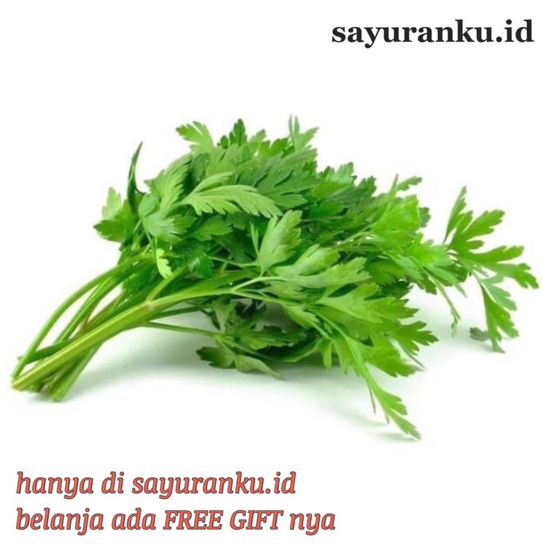 

daun seledri per ikat sayur segar sayuran fresh pasar murah pasar jakarta