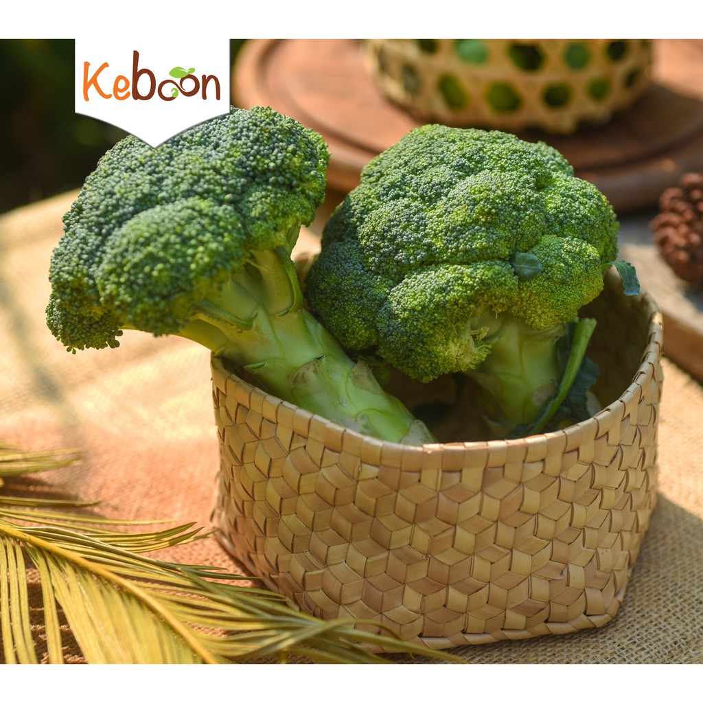 

Brokoli - 1 pcs (500 gr)