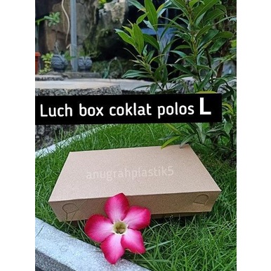

$$$$] Paper Lunch box coklat polos uk L