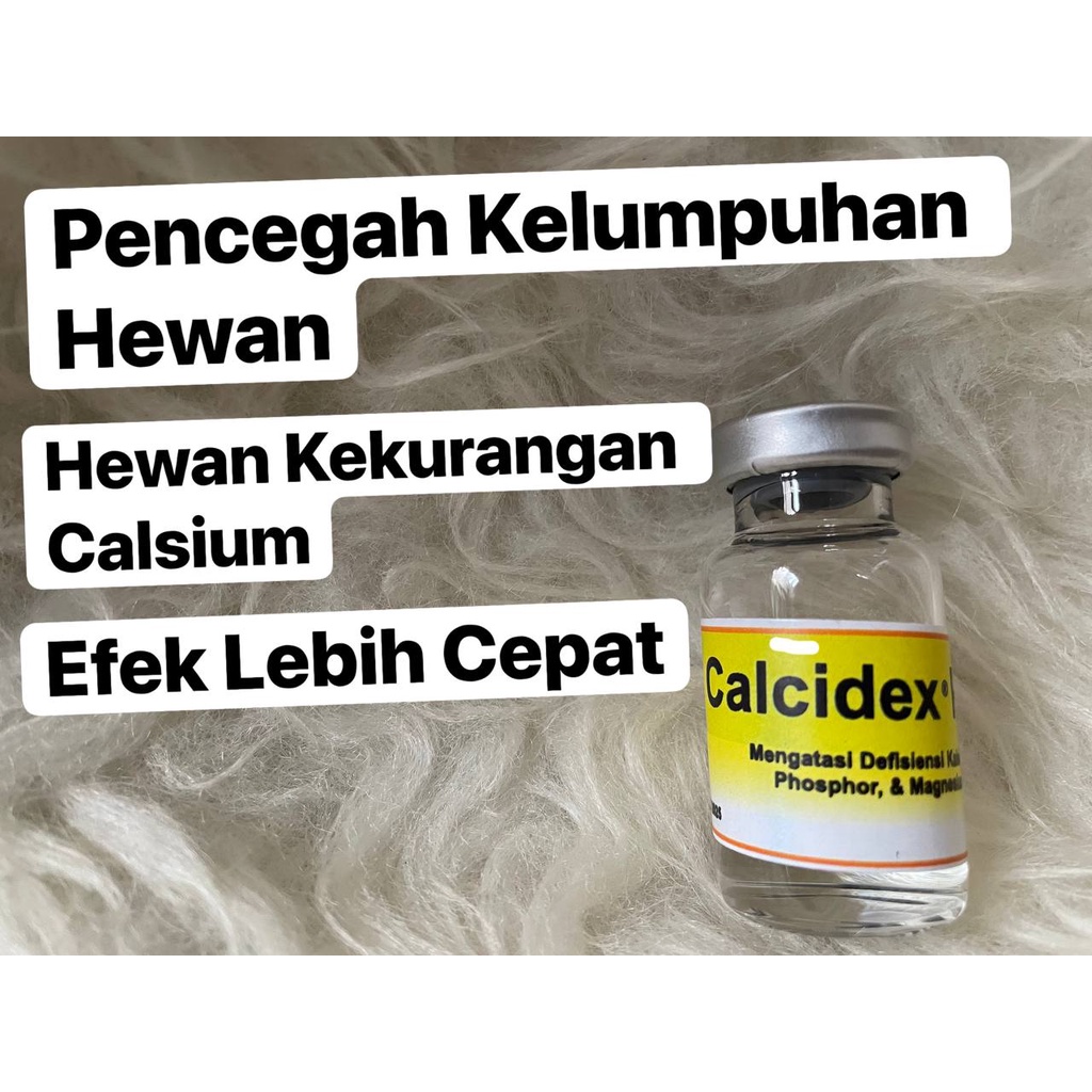CALCIDEX PLUS Injeksi Obat Sapi Kambing Kelinci Lumpuh Injeksi Ampuh
