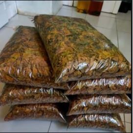 MURAH DAUN KETAPANG KERING GROSIR (250 GRAM)