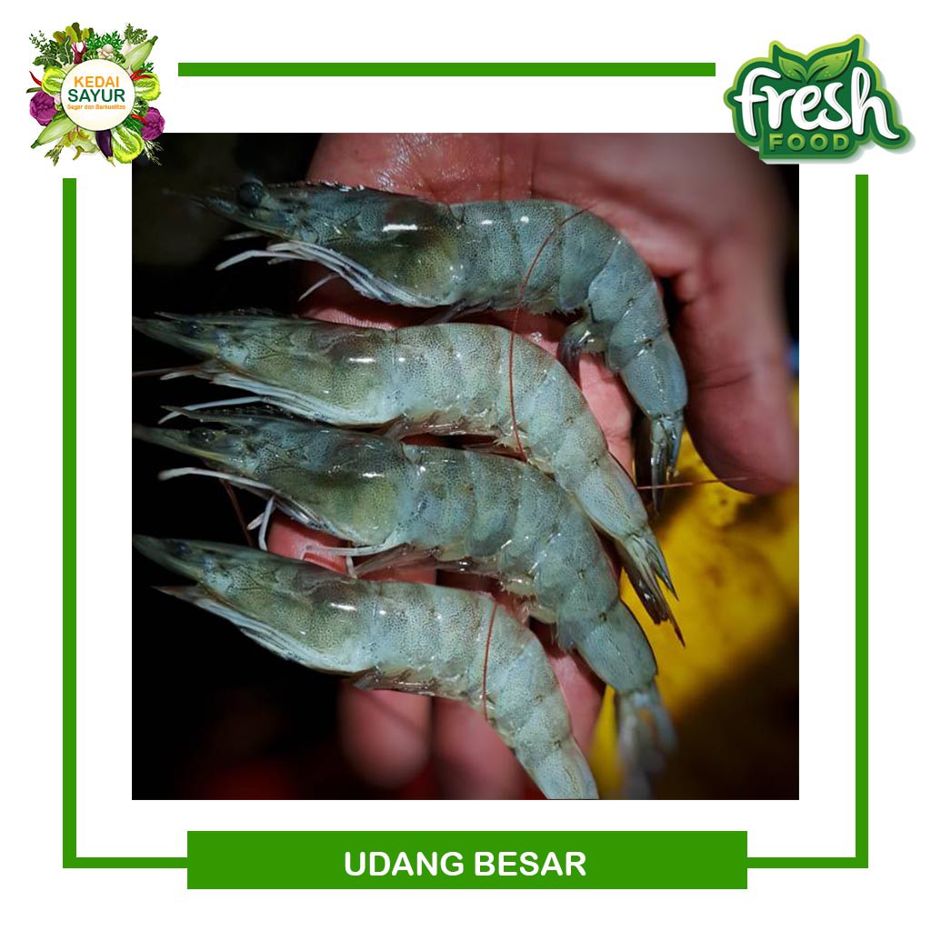 

Udang Vaname Segar Besar Gratis Kupas Kulit 250 Gram - Gerai Sayur Hasil Laut Segar Depok