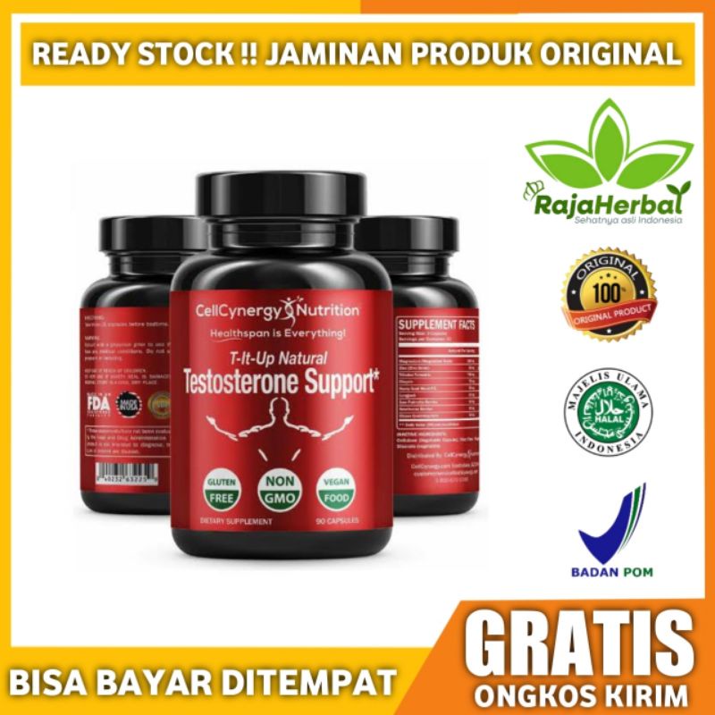 Stamina Pria Dewasa CellCynergy Nutrition Testosterone Support