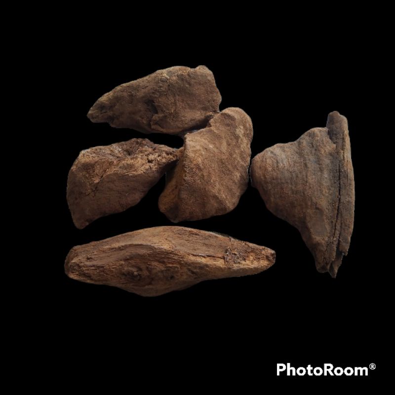 Nobira98 Bahan Fosilan Dekor Kayu Gaharu Kalimatan 1 Kg