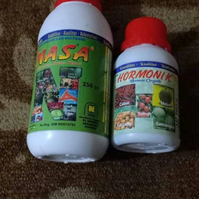 Hormonik & POC Nasa - POC - Agen Nasa Ciparungpung Bandung