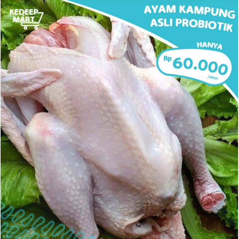 

Ayam kampung asli +-700gr