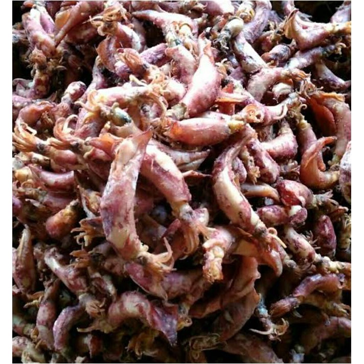 

Cumi / Sotong Asin Uk. 8 - 11 Cm ( @ 1.000 Gr )