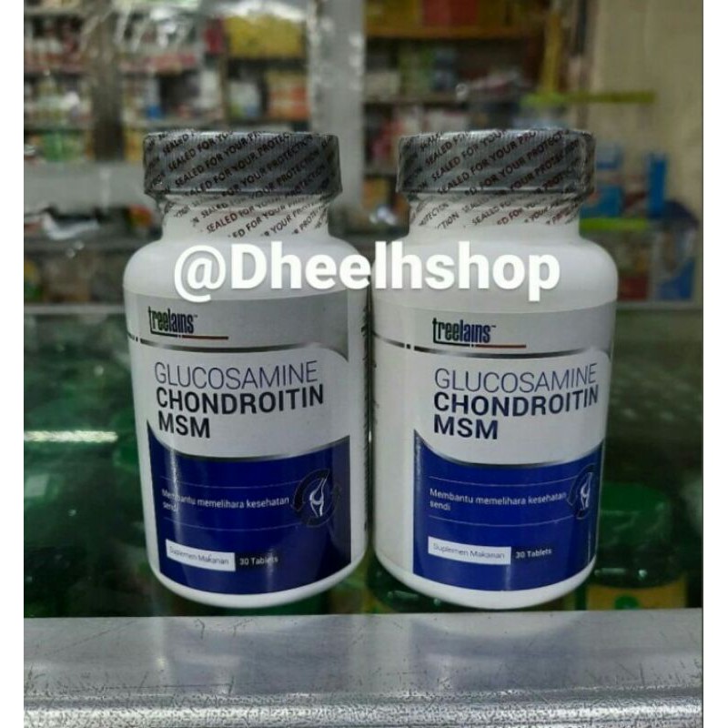 TREELAINS GLUCOSAMINE 500 MG CHONDROINTIN,MSM ISI 30 TABLET