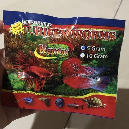 CACING KERING TUBIFEX KERING DRIED TUBIFEX WORM WORMS