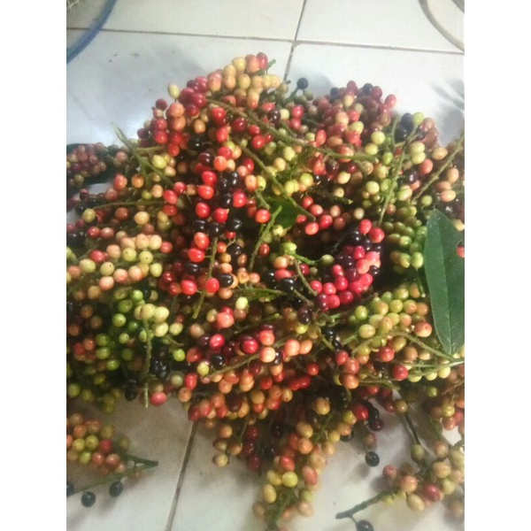 

BUAH BUNI/WUNI SEGAR DAN FRESS 1 Kg