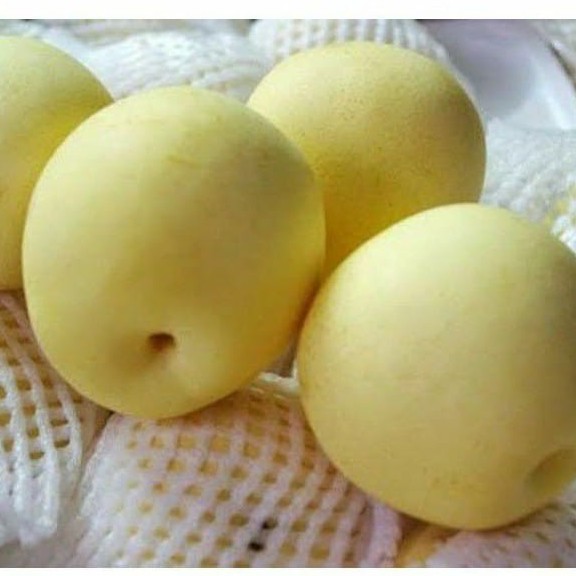 

Buah Pear Century Buah Segar