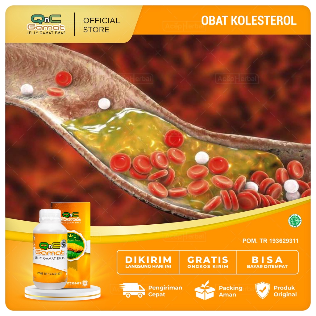 Jual Obat Kolesterol Tinggi - Obat Penurun Kolestrol LDL - Kolesterol ...