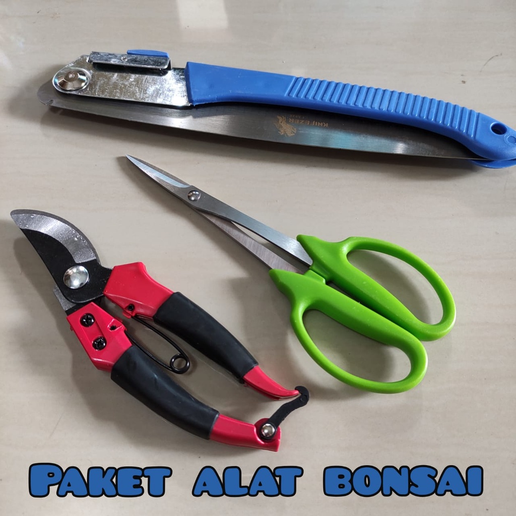 OJIO - Paket Murah Peralatan Bonsai Tanaman Gunting Ranting, Gunting Pruning Daun, Gergaji Lipat Bon