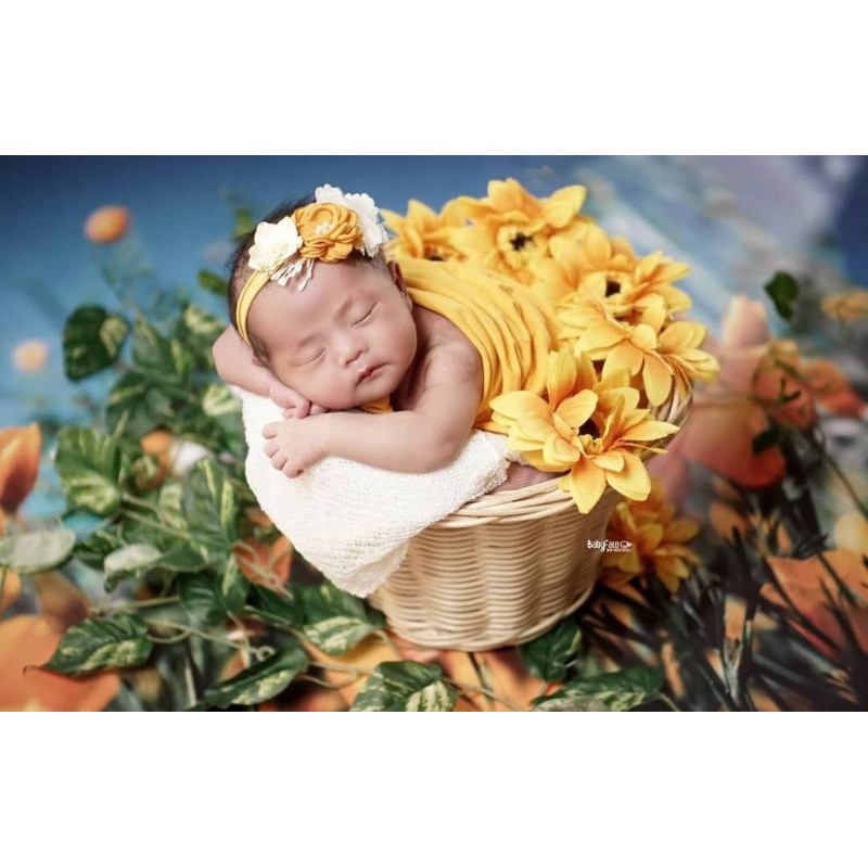 BABY PROPERTY / KERANJANG PROPERTY FOTO BAYI / ENCENG GONDOK - ROTAN / PHOTOSHOOT BABY NEW BORN