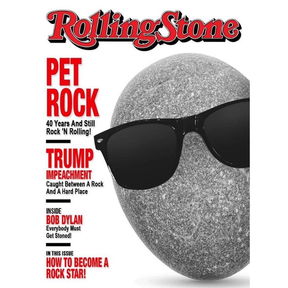 Pet RockStar
