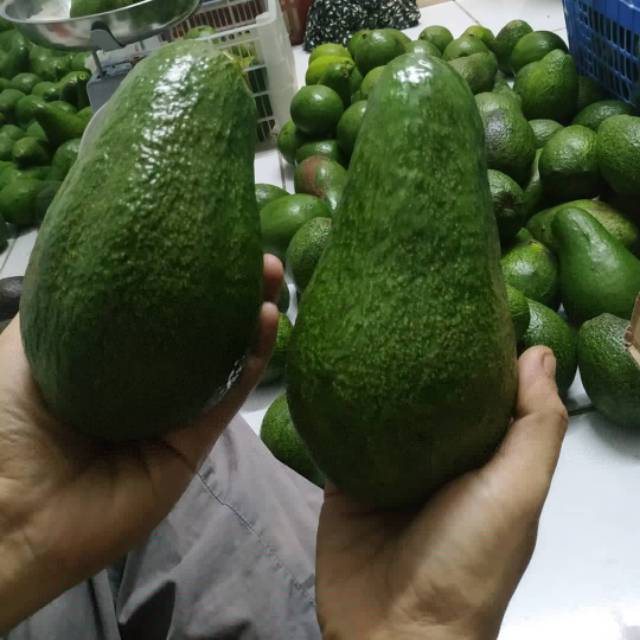 

AlpukatMentega Premium