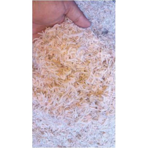 

Teri Pek But ( 1.000 Gr )