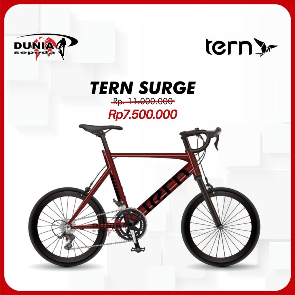 Tern Surge