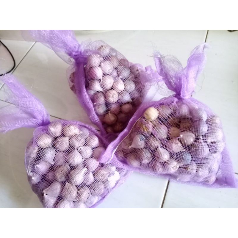 

Bawang Lanang Murah / Bawang Lanang Mentah / Bawang Tunggal / Bawang Lanang Fresh 250