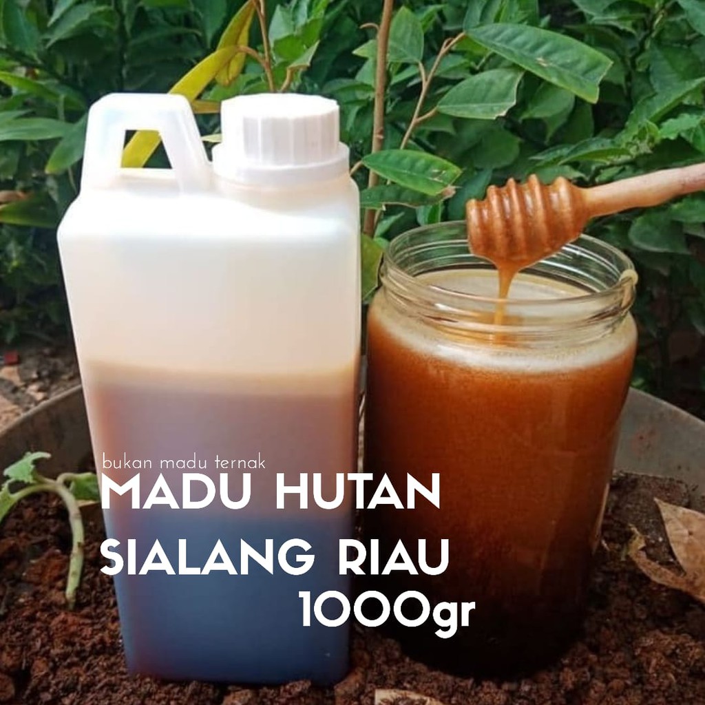 

Madu Sialang Riau 1 Kilogram (Kg)