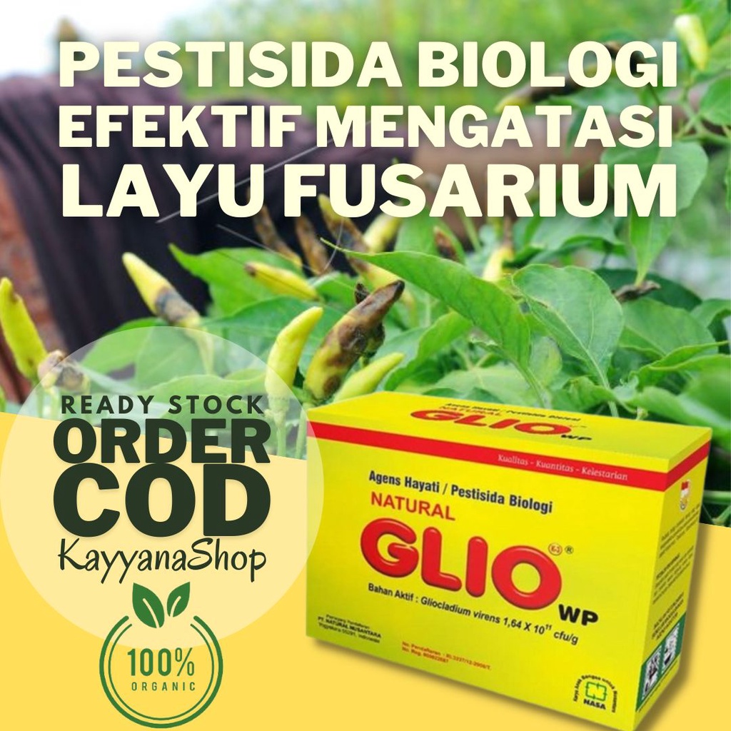 Promo NATURAL GLIO Pengendali Jamur Fusarium Penyebab Layu Tanaman 100 Gram /Fungisida Organik NASA / Obat Jamur Tanaman Hias / Obat Jamur Tanaman Buah / Obat Jamur Tanaman Cabe / Obat Jamur Akar Tanaman / Fusarium /Obat Jamur Akar Putih / Obat Layu