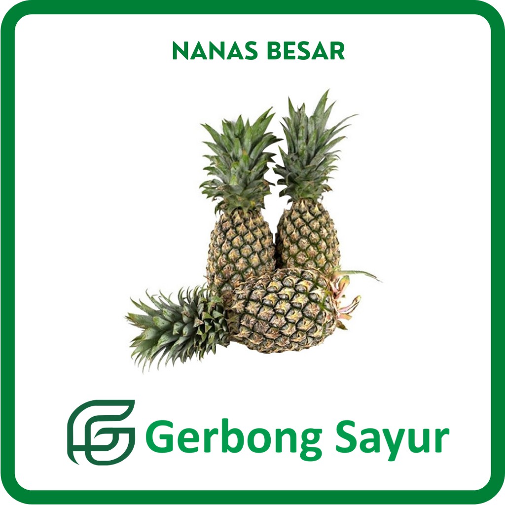 

Buah Nanas Besar Segar - 1 Kg