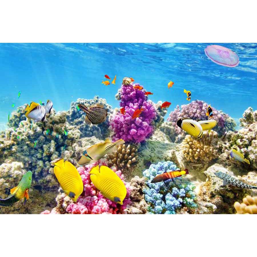 Wallpaper 3D Gambar Ikan Di bawah Dasar laut