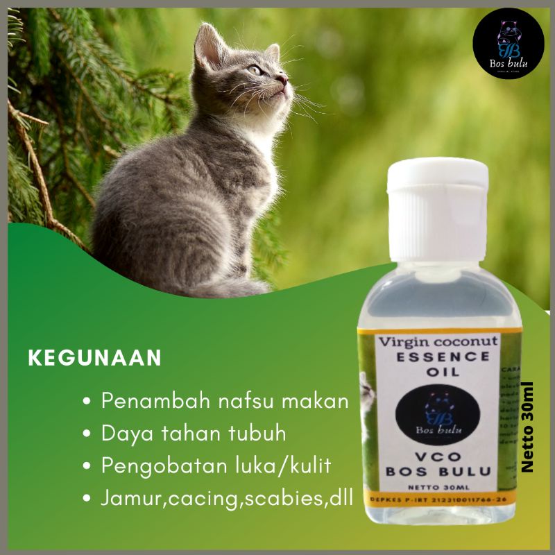 Bos bulu vco minyak virgin coconut essence oil obat jamur cacing kutu sacbies absess penyakit kulit kucing anjing burung 30ml