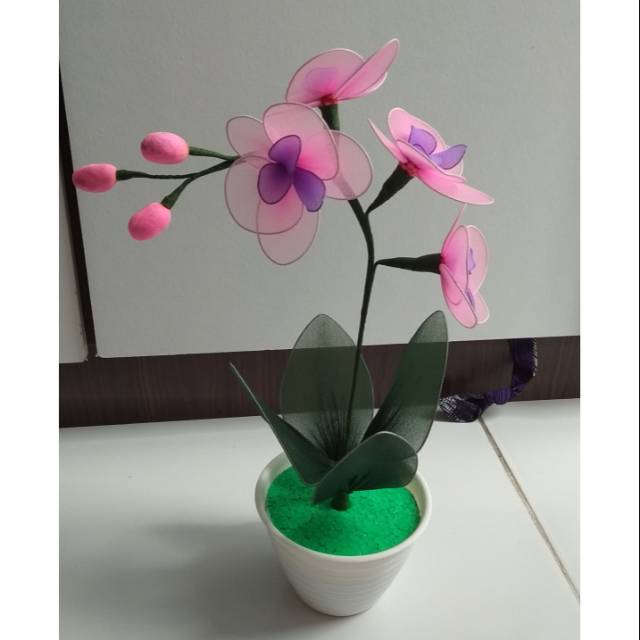 Anggrek bunga stoking