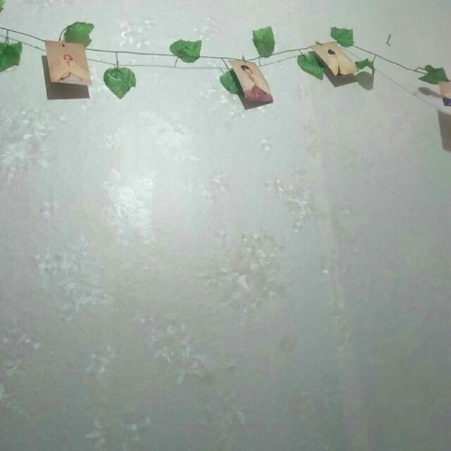 No Drop Cat Anti Bocor Warna (4 Kg)