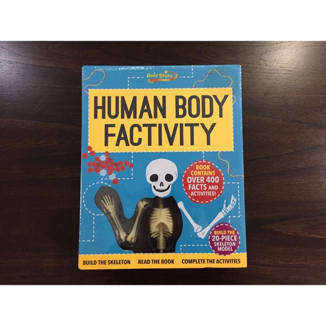 Human body factivity