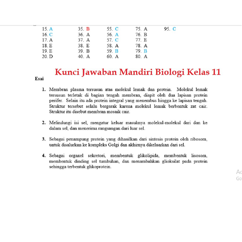 Buku Mandiri Biologi Sma Jilid 2 Kelas 11 K13 Soal Jawaban Kurtilas Shopee Indonesia