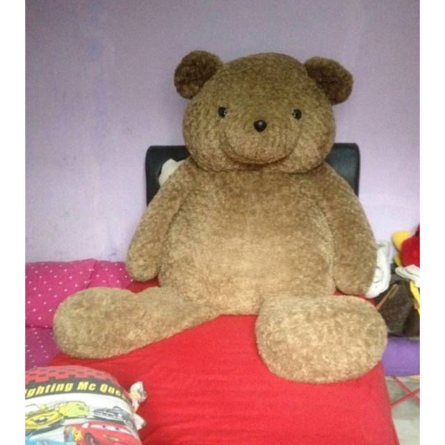 Boneka teddy bear ( teddy house)