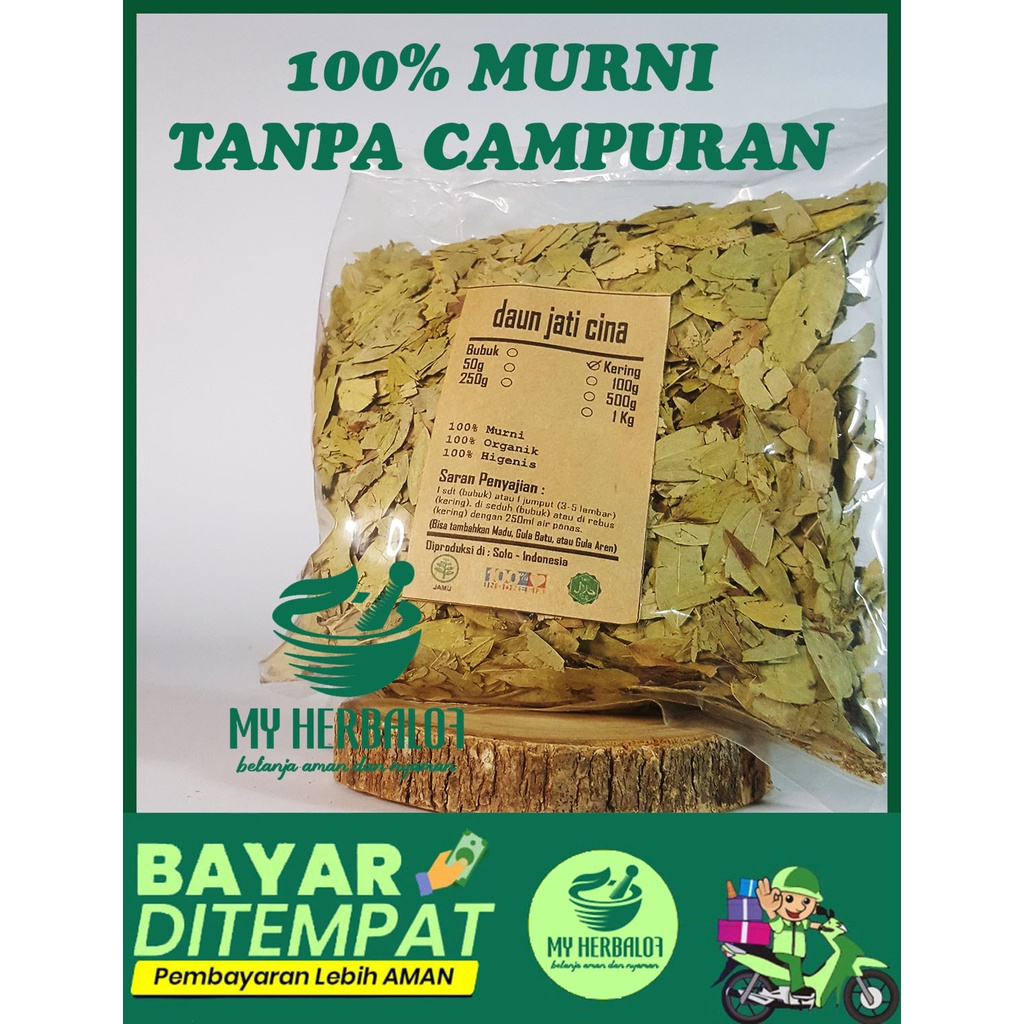 Herbal Teh Daun Jati Cina Kering / Senna Alexandrina / Murni / Jsr / Rempah / Premium Quality